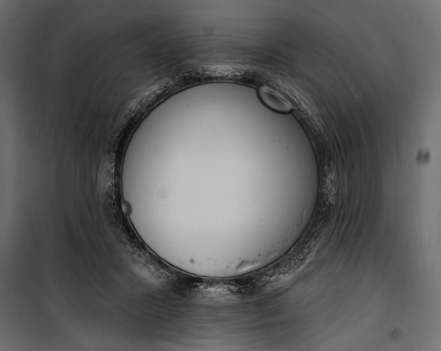 X0000100330407200806191113