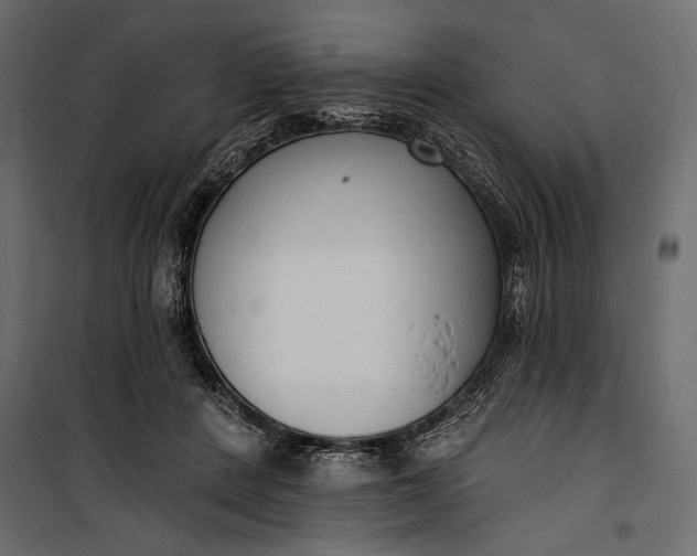 X0000100330408200806191113