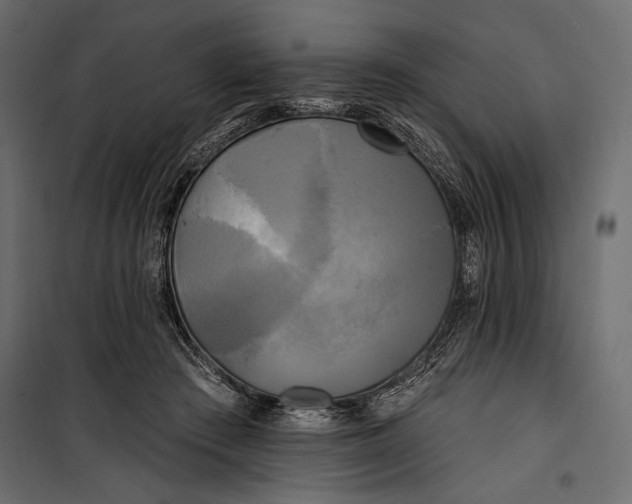 X0000100330409200806191113