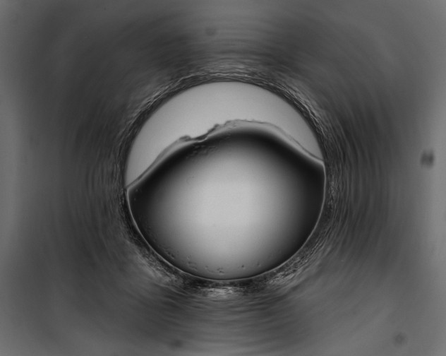 X0000100330411200806191113