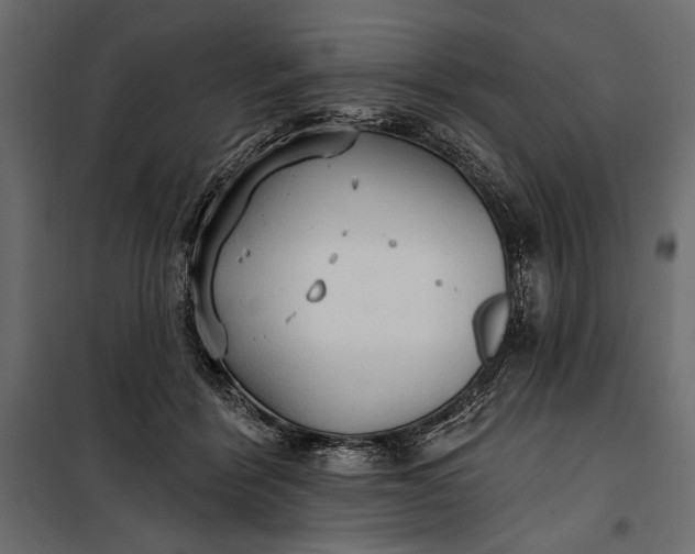 X0000100330412200806191113