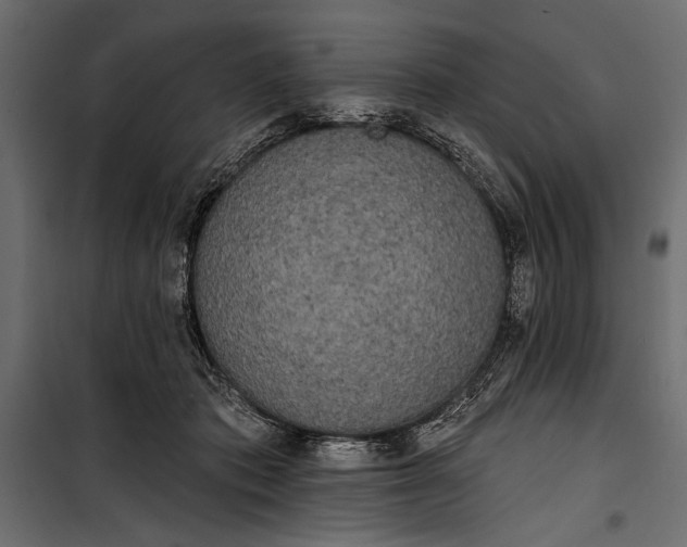 X0000100330413200806191113