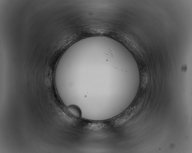 X0000100330414200806191112