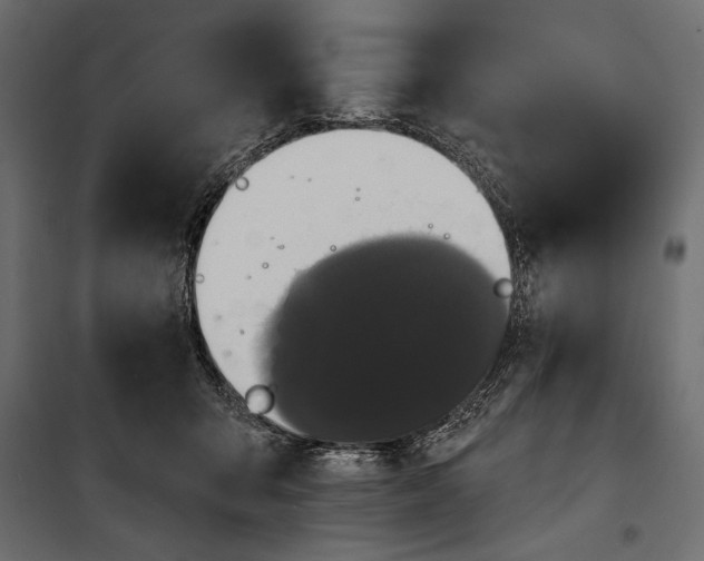 X0000100330415200806191112