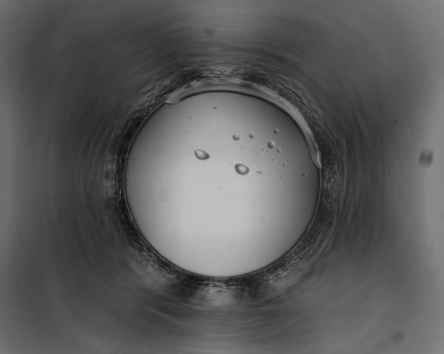 X0000100330416200806191112