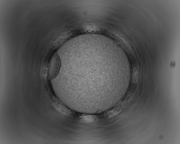 X0000100330417200806191112