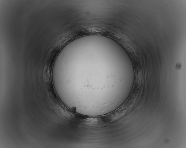 X0000100330418200806191112