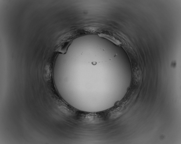 X0000100330420200806191112