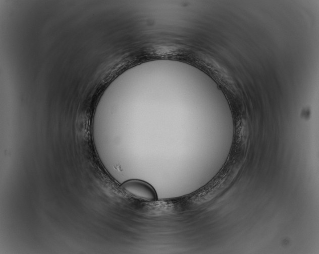 X0000100330421200806191112