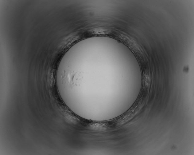 X0000100330422200806191112