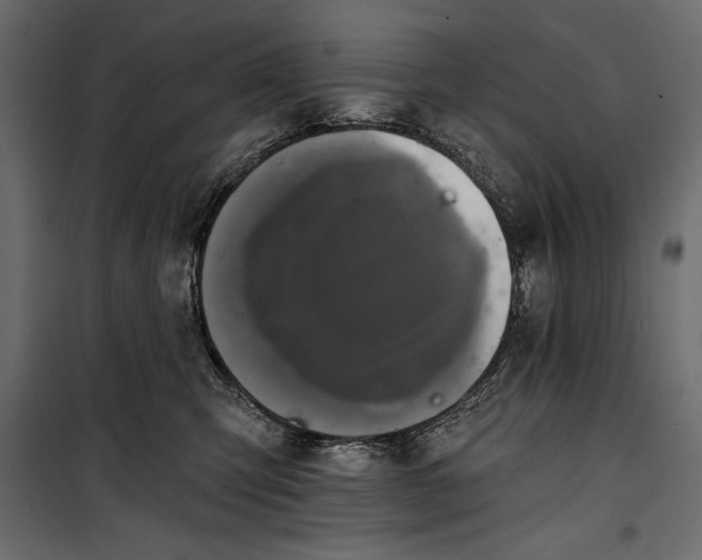 X0000100330423200806191112