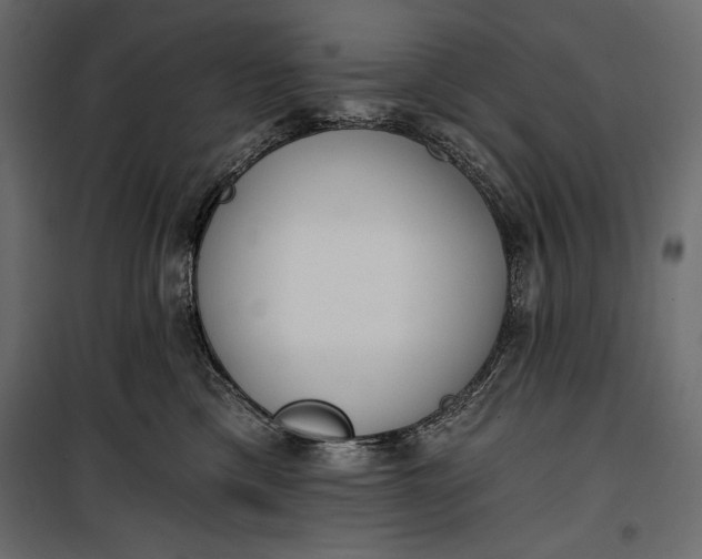 X0000100330425200806191112