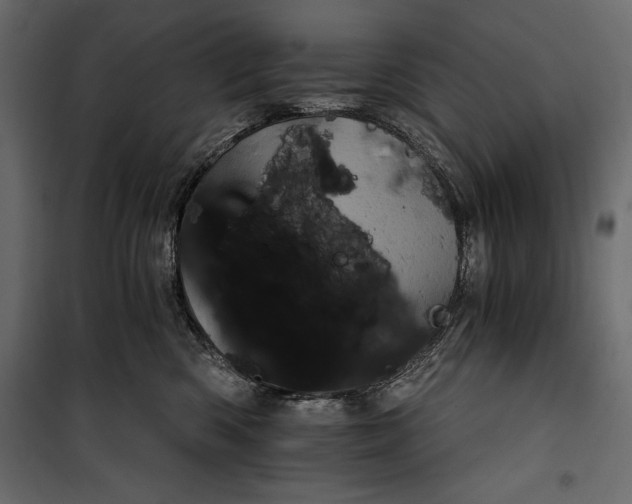 X0000100330426200806191112