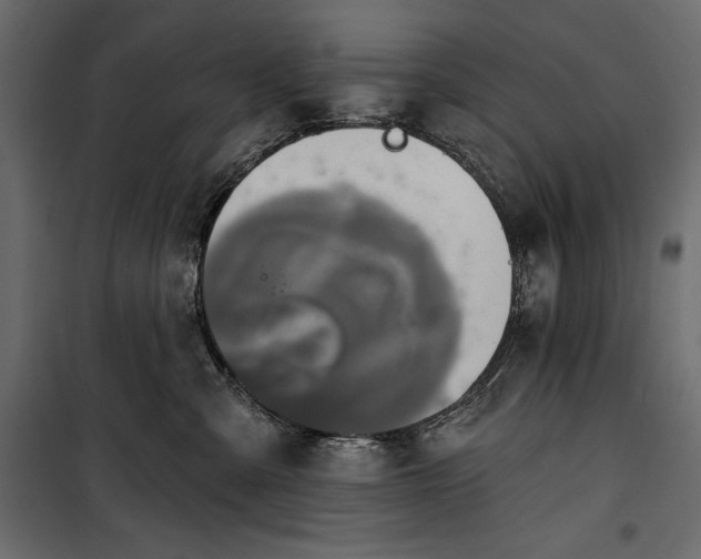 X0000100330427200806191112