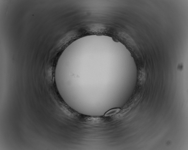 X0000100330428200806191112