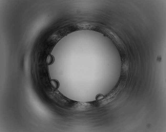 X0000100330429200806191112