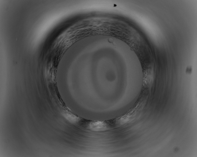 X0000100330431200806191112