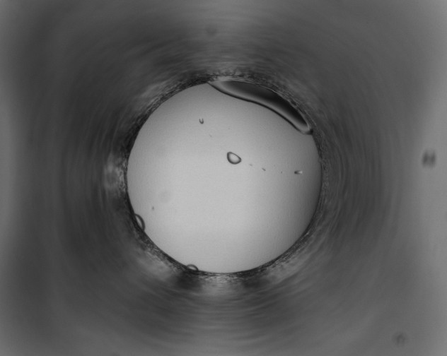 X0000100330432200806191112