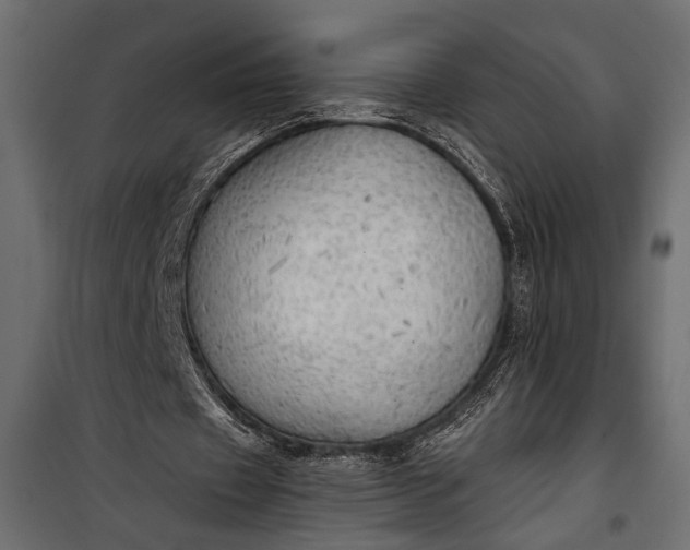 X0000100330433200806191112