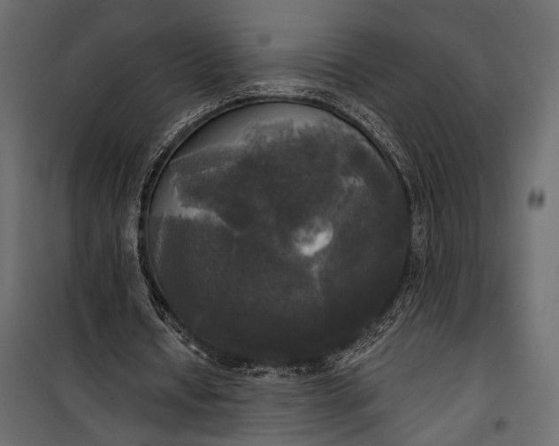 X0000100330434200806191112