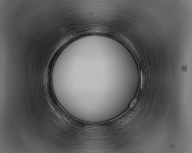 X0000100330435200806191112