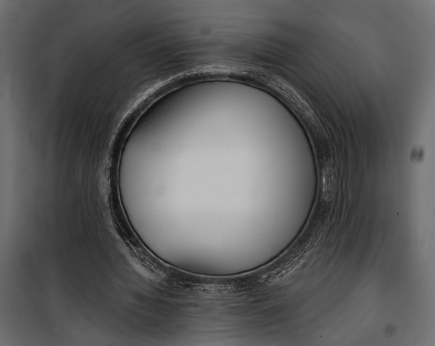 X0000100330436200806191112