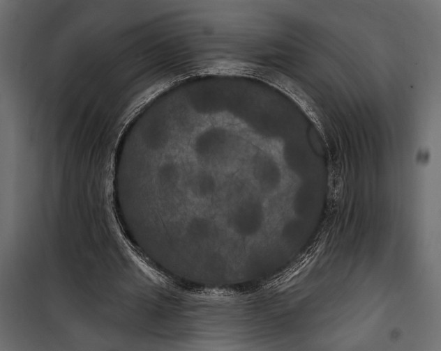 X0000100330437200806191112