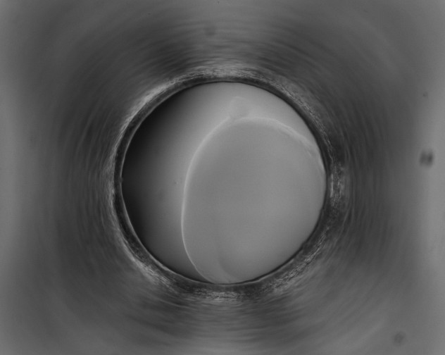 X0000100330438200806191112