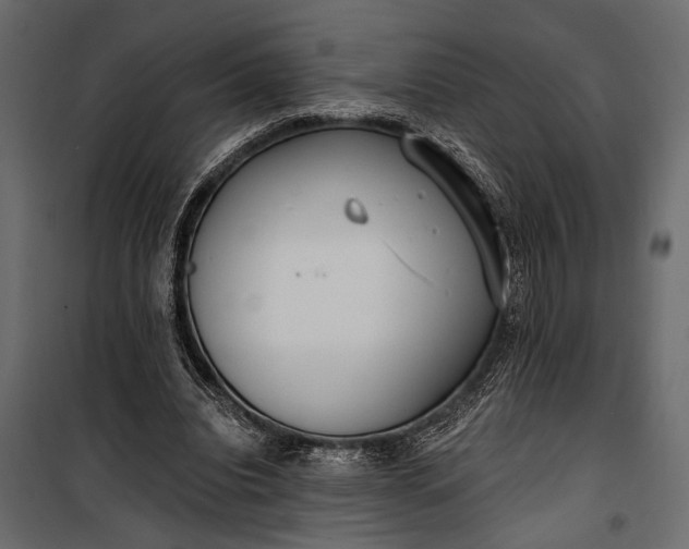 X0000100330440200806191112