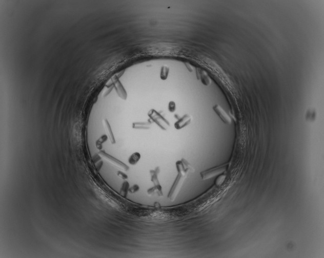 X0000100330441200806191112