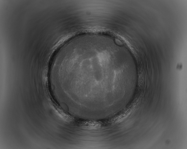 X0000100330443200806191112