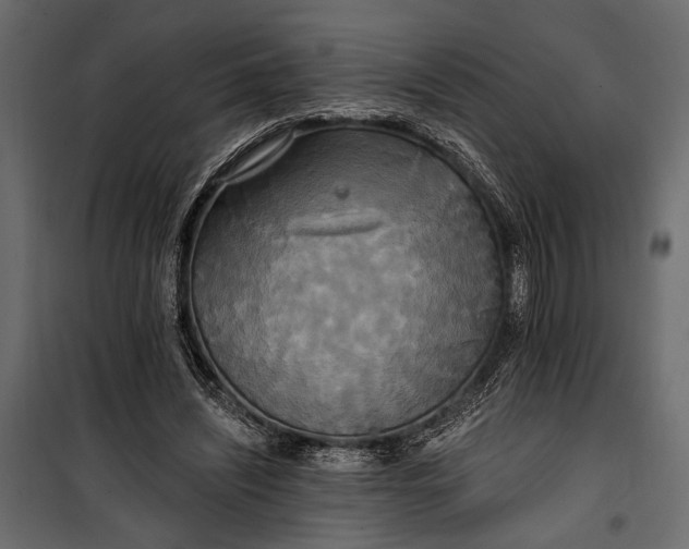 X0000100330444200806191112