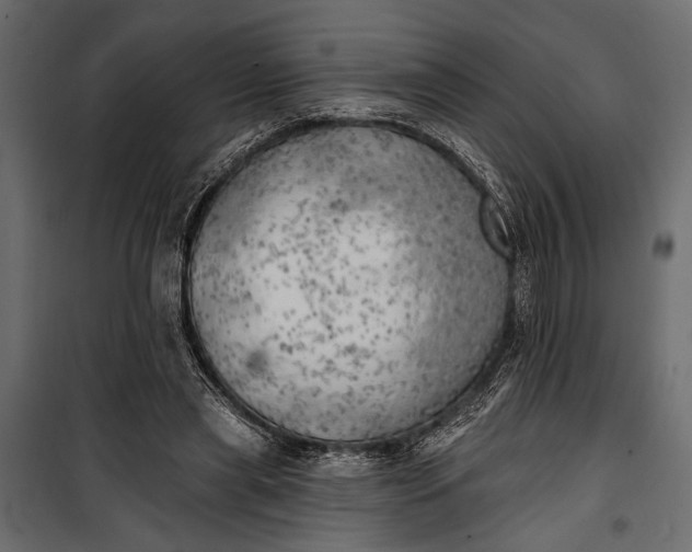 X0000100330445200806191112