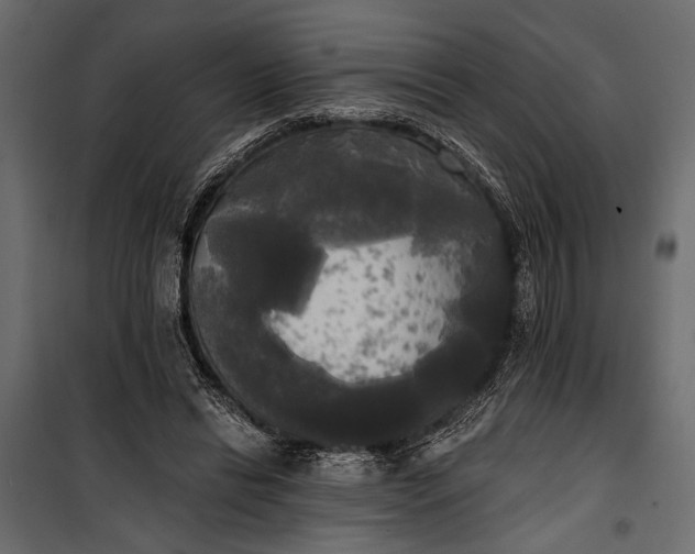 X0000100330446200806191112