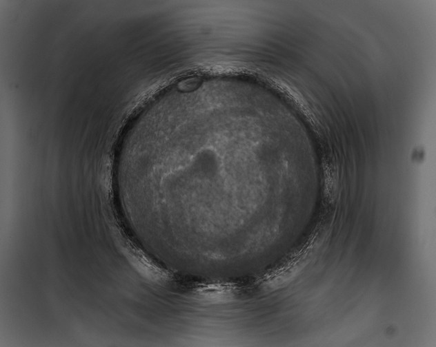 X0000100330447200806191112