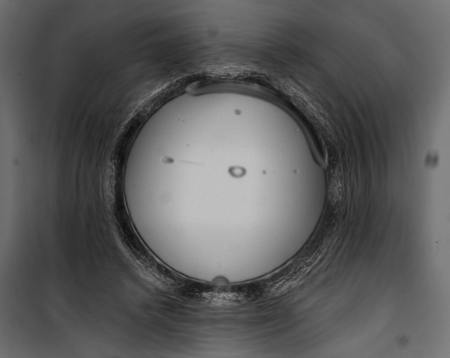 X0000100330448200806191112