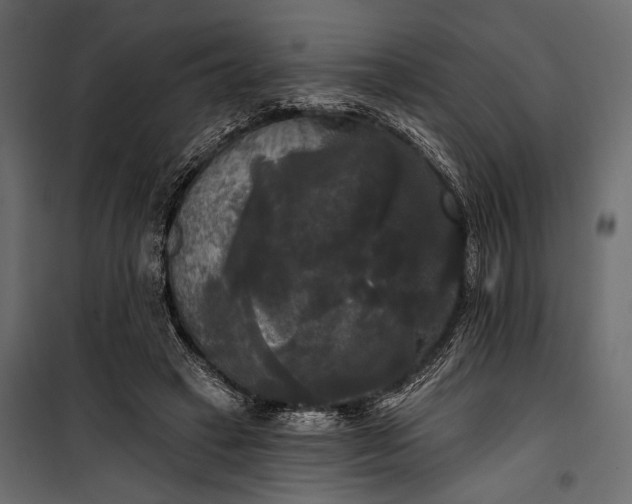 X0000100330449200806191112