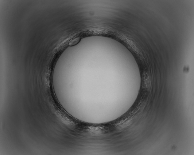 X0000100330450200806191112