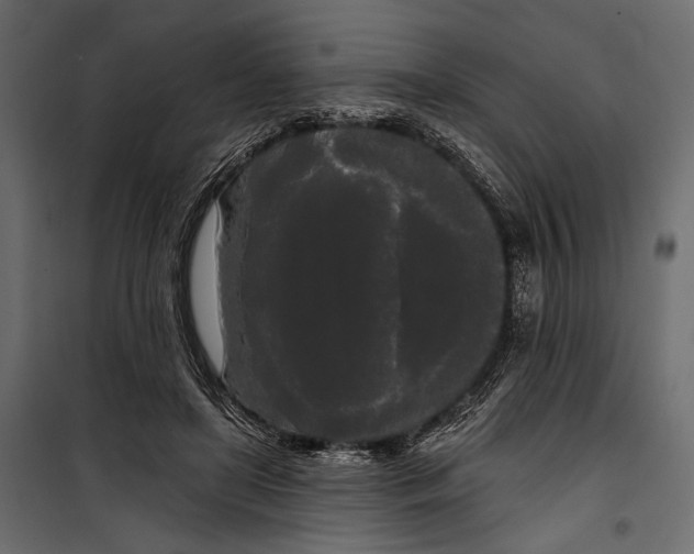 X0000100330451200806191112