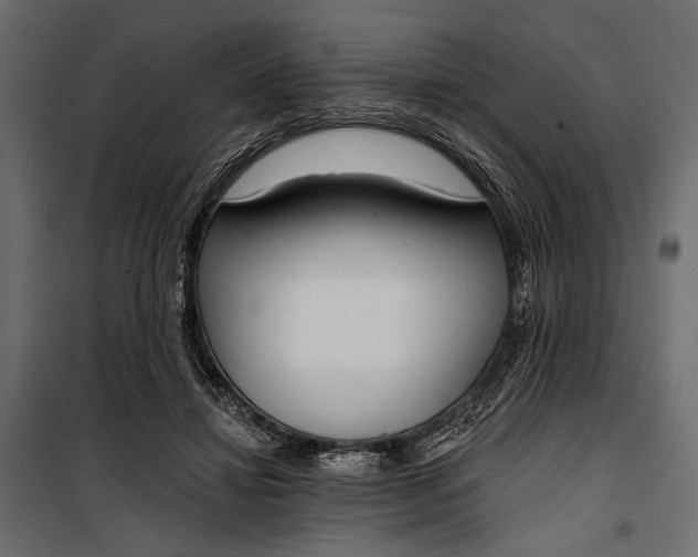 X0000100330452200806191112