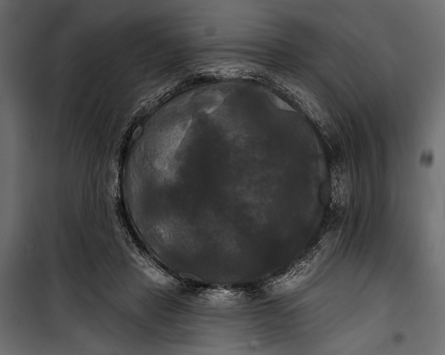 X0000100330453200806191112