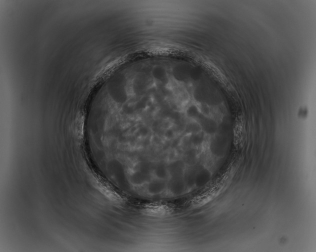 X0000100330454200806191112