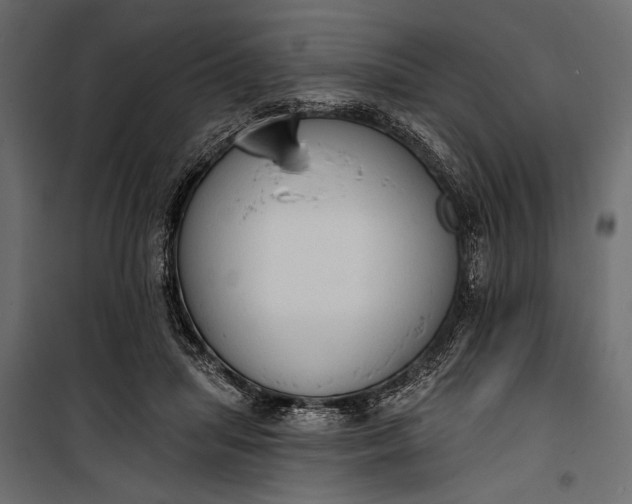 X0000100330455200806191112