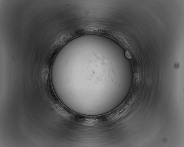 X0000100330458200806191112