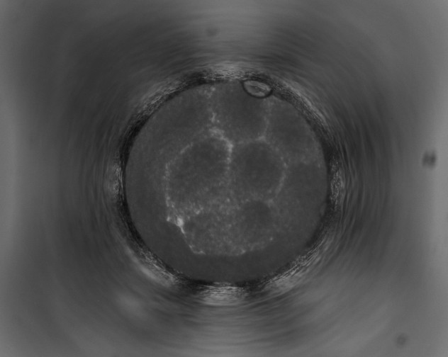 X0000100330459200806191112