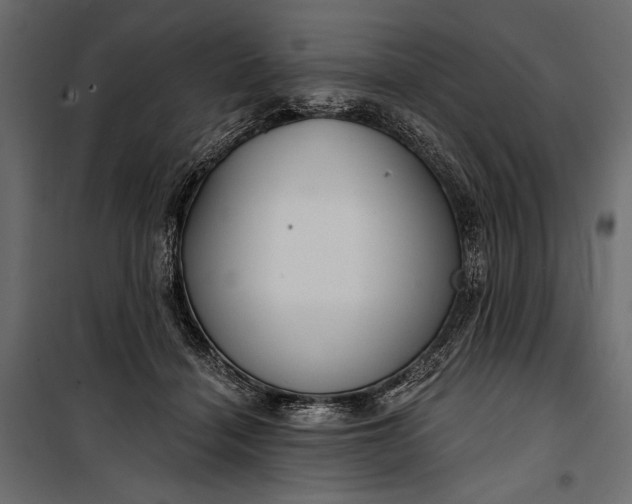 X0000100330460200806191112