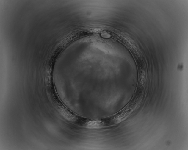 X0000100330461200806191112