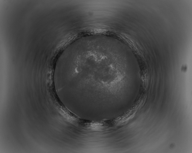 X0000100330462200806191112