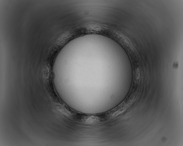 X0000100330463200806191112