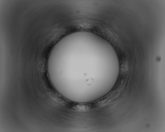 X0000100330464200806191112